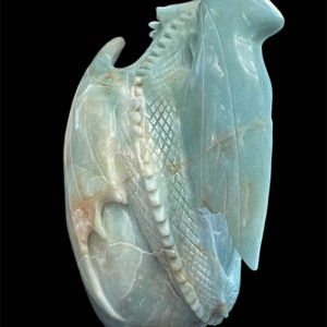 Hand Carved Caribbean Skull with Dragon