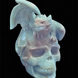 Hand Carved Caribbean Skull with Dragon